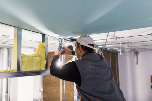 Best Commercial Insulation Services  in West University Place, TX