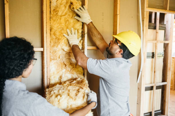 Types of Insulation We Offer in West University Place, TX