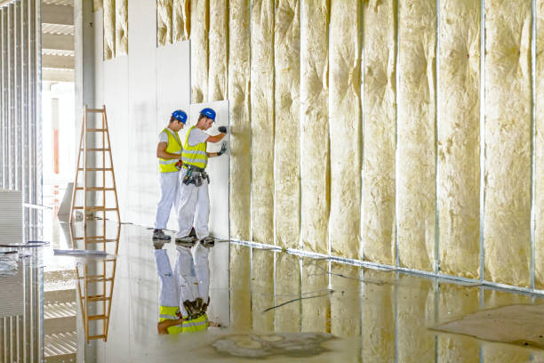 Best Blown-In Insulation  in West University Place, TX